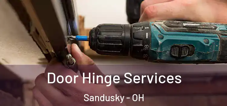 Door Hinge Services Sandusky - OH
