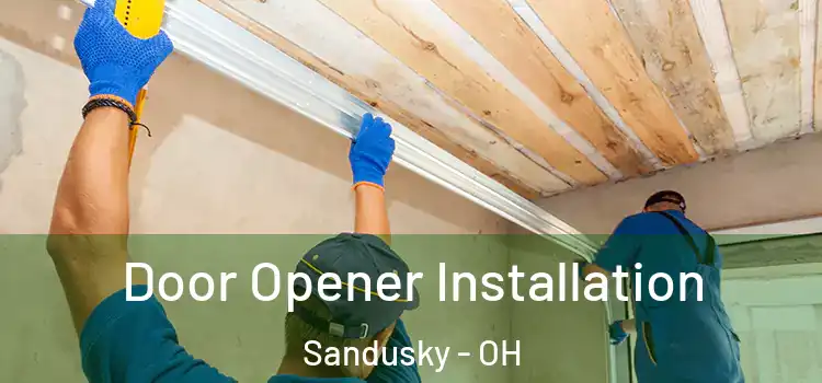  Door Opener Installation Sandusky - OH