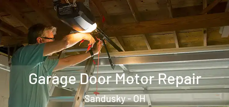 Garage Door Motor Repair Sandusky - OH