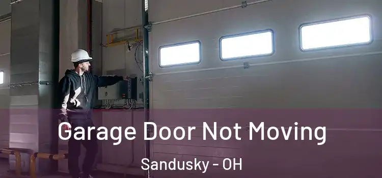  Garage Door Not Moving Sandusky - OH