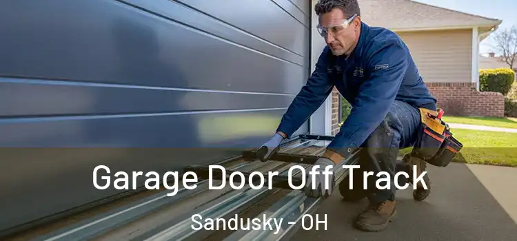  Garage Door Off Track Sandusky - OH
