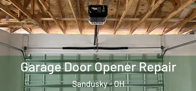  Garage Door Opener Repair Sandusky - OH