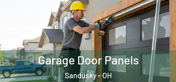  Garage Door Panels Sandusky - OH