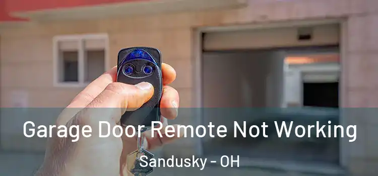  Garage Door Remote Not Working Sandusky - OH