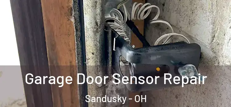 Garage Door Sensor Repair Sandusky - OH