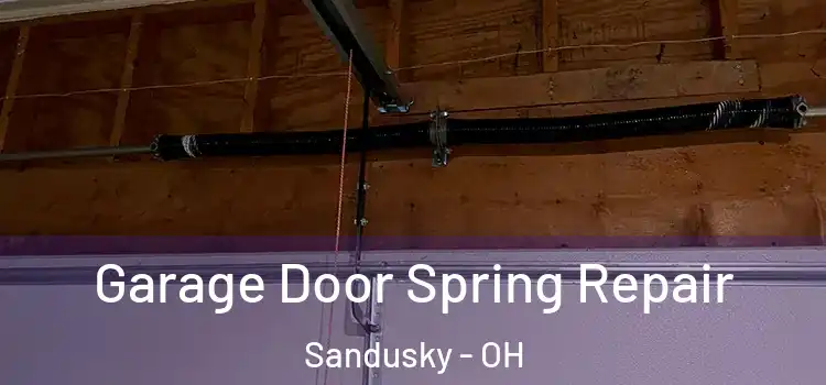  Garage Door Spring Repair Sandusky - OH