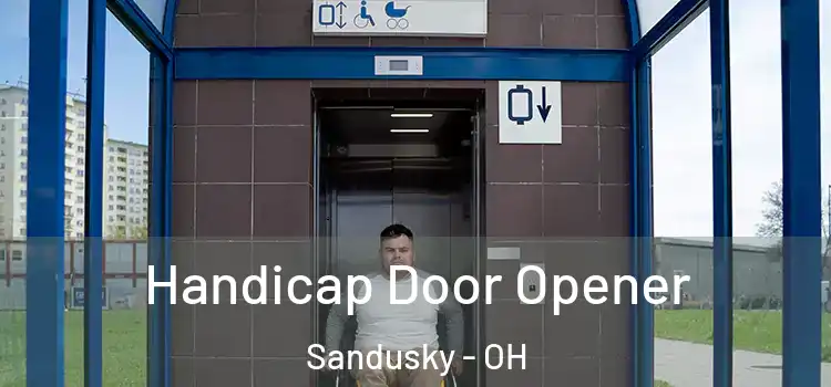 Handicap Door Opener Sandusky - OH
