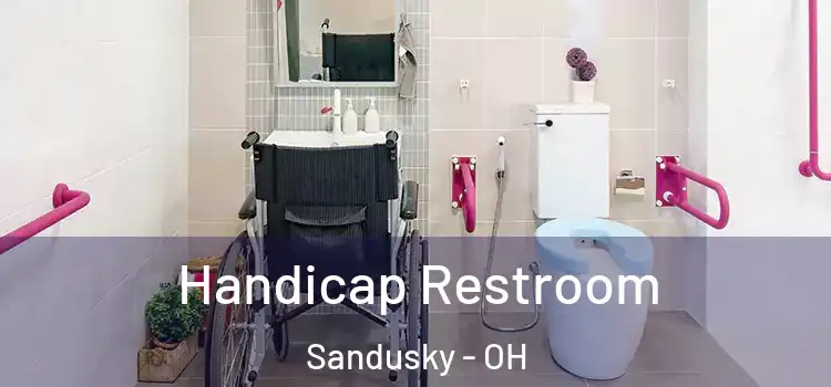  Handicap Restroom Sandusky - OH