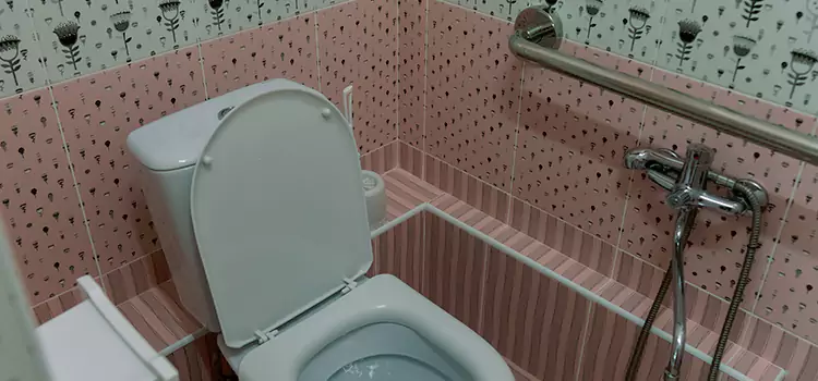 Meeting Diverse Needs With Accessible Restroom Solutions in Sandusky, OH