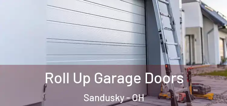  Roll Up Garage Doors Sandusky - OH