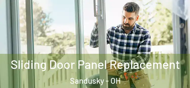  Sliding Door Panel Replacement Sandusky - OH
